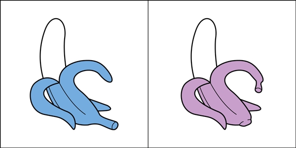 tumblr_nxwsfbSbeX1urogowo1_1280r