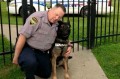 警察犬が競売にかけられる!?買い取りたい元相棒へネット上で支援が集まる