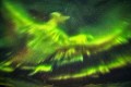 不死鳥が天を舞う！？アイスランドで観測されたオーロラが美しすぎる