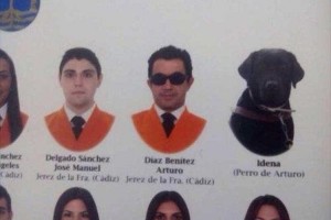 学生と一緒に盲導犬の写真…とある大学の卒業アルバムのエピソードに涙