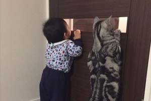 この子たち兄弟？背伸びして何かをのぞきこむ赤ちゃん＆ニャンコが可愛い！