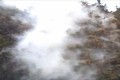 この煙は何?と思ったら“花粉が飛散する瞬間”だった!そろそろ花粉がピークに…