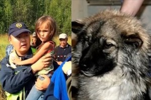 森で11日間行方不明の少女を発見!愛犬が少女の体を温め続け、生き延びた!