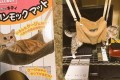 なぜこうなった!?飼い主も驚いたネコの自由すぎる行動12選