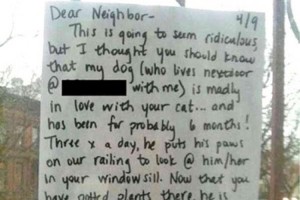 「ウチの犬があなたのところの猫ちゃんを好きでたまらないの」愛犬のための お願いに素敵な回答