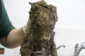 泥だらけの謎の動物が建設現場で発見！保護してキレイに洗ってみると...