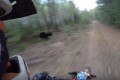 【危機一髪】これはヤバイ！バイクで山道を走っていたらクマが横切った決定的瞬間