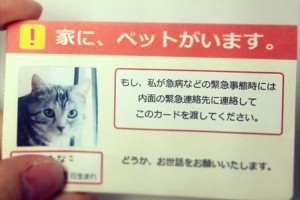 自分にもしもの事があった時、“家にペットがいる事を伝えるカード”が話題に!