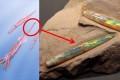 これは希少!“オパール化した古代のイカ”が美しいと話題に…豪州で発見