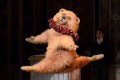 キレッキレにもほどがある!“ボストン・バレエ団のクマ”が、クマの動きではない