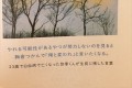 「死に目を背けるな」白血病により23歳で亡くなった青年の言葉が心に刺さる【名言】