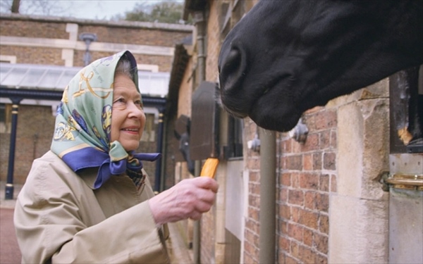 queen_horse_3597129b_R