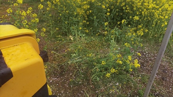 13006477_475769385967424_7358014564219557183_n_R