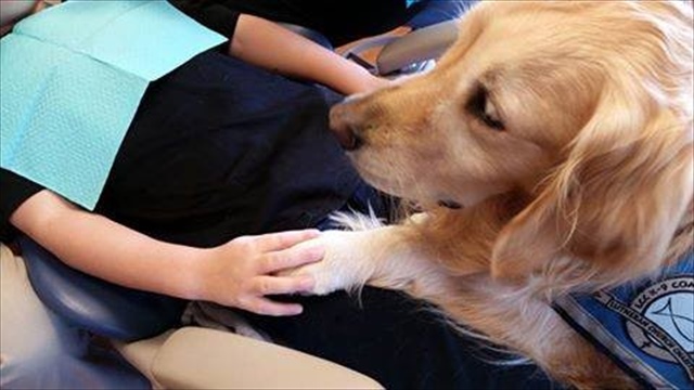 7f45b745302f1f0055debbf071adf52a26f4c3e8df5e68acc250d3e22dbc385a_R