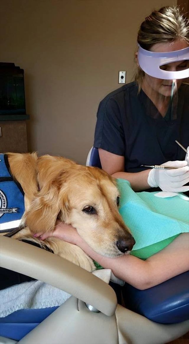 dc938ca879047d35061aa928c33574ee65f97aabf845dc21746e2edd5eda64ff_R