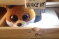 「絶対に起こさないでね!」起こそうとすると全力でOFFにするおもちゃが面白い!
