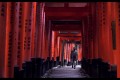 外国人から見た『日本』という作品。誰もが興奮する4分間