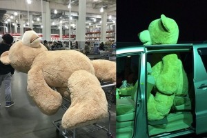 「運ぶ方法がこれしかありませんでした」コストコで買ったクマの存在感が話題に!