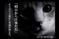 「全日本もう帰りたい協会」の“広告的表現”が相変わらずシュールで面白い【18選】