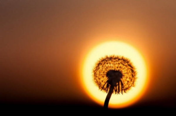 these_awesome_photos_have_really_not_been_photoshopped_640_64r