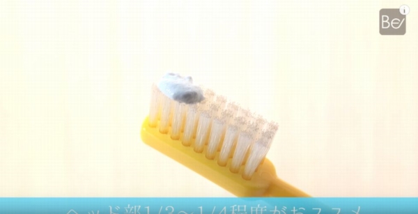 fd300005r