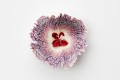 鉛筆削りから、はらりと咲く「紙の花」が切ないほどに美しい…