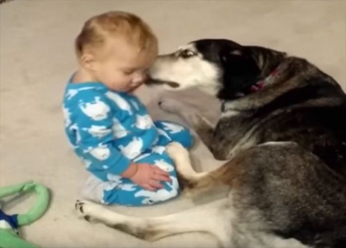 ゆ～らゆら。眠気のあまり船を漕ぐ赤ちゃんと、心配するワンコの攻防戦が可愛すぎる