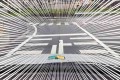 これは停止せざるを得ない!勇敢なザリガニが道路の真ん中で何かを訴える