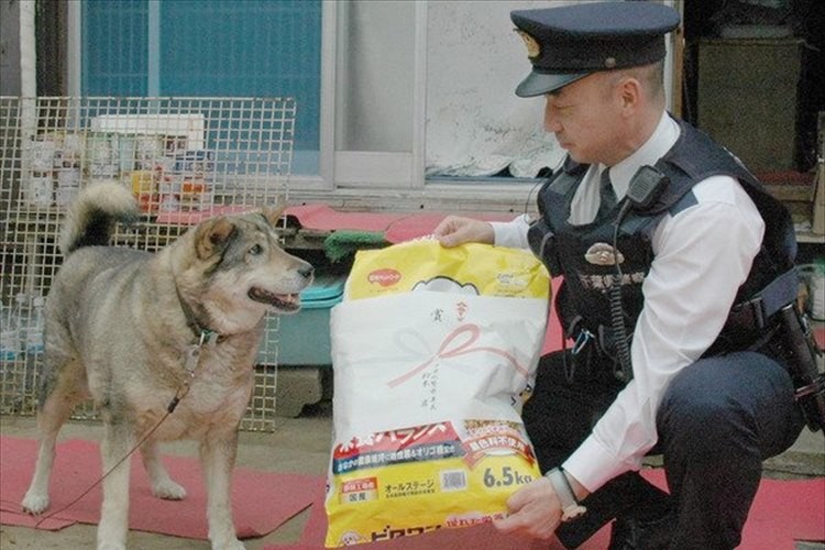 ワンコの愛が飼い主を助けた!自宅で倒れた飼い主の所まで警察官を誘導!