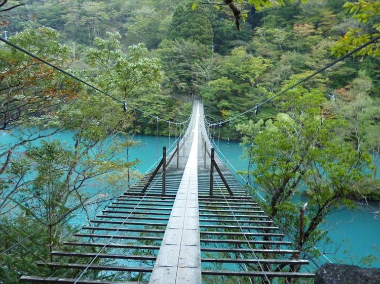 4034271393_aff9c0a7ff_or