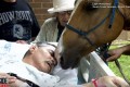 「最期に愛する馬たちの顔が見たい...」大好きな馬に看取られ天国へ