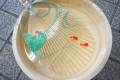 涼やかで美しい…岐阜の伝統工芸『水うちわ』の繊細な魅力に心奪われる