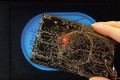 コレ欲しい! “東京の路線図を基板で描写”したICカードケース  関西版・京都版も