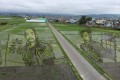 今年のテーマは「真田丸」稲を絵の具代わりに描く青森の“田んぼアート”が凄い!