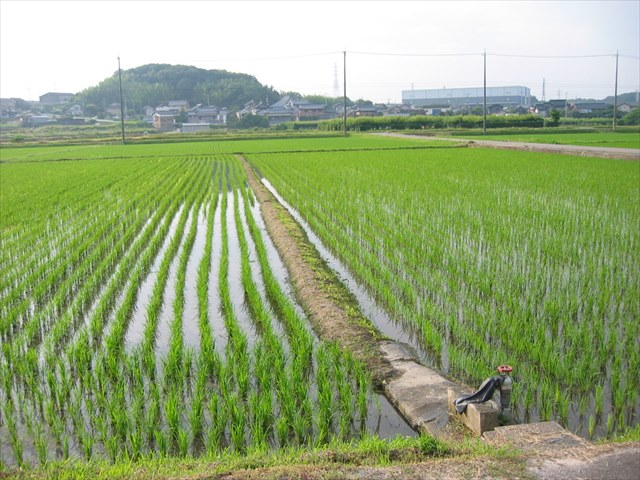 08_6C5C4A4F3A4DC20002_R