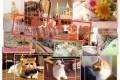 マンチカンのぷーちゃんも参加!!猫の祭典「ねこ休み展」が東京に現る!