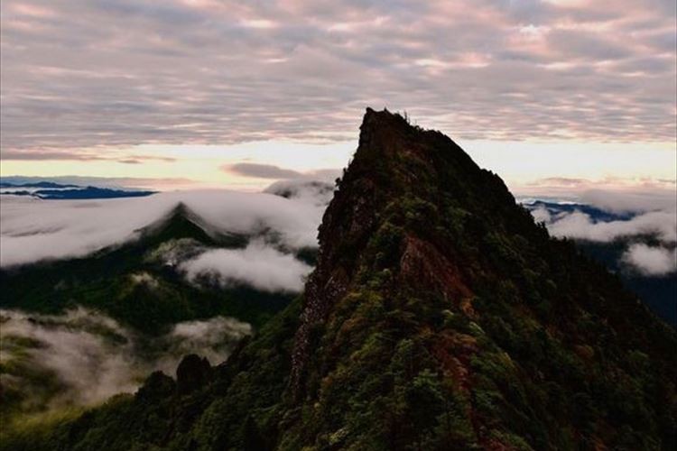 断崖絶壁を乗り越えた先には大パノラマが!西日本最高峰"石鎚山"に圧倒される!