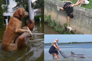 【動画】身の危険を顧みず“命を救おうとする”ヒーロー達の勇気に心が打たれる