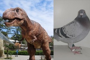 イメージが崩れるなぁ…恐竜の泣き声はハトの様な「クークー声」だった説が浮上!