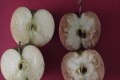 「言葉の暴力が心を傷つける」“2つのリンゴを使ったとある授業”に多くの反響!