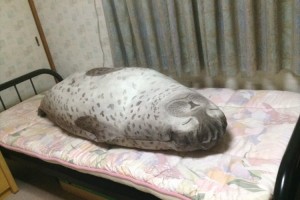 コレは飼いたい! リアルを追求した“アザラシの布団収納ケース”抱き枕にもなる!?