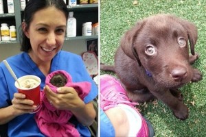 安楽死を勧められた難病の犬の赤ちゃんが、愛情を注がれて今では大きく育つ