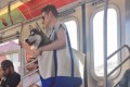 NY地下鉄「キャリアに入れていないペットの持ち込み禁止」にしたらこうなった