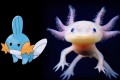 ミズゴロウってウーパールーパーから誕生したんだ!?ポケモンのモデルになった生き物【14選】