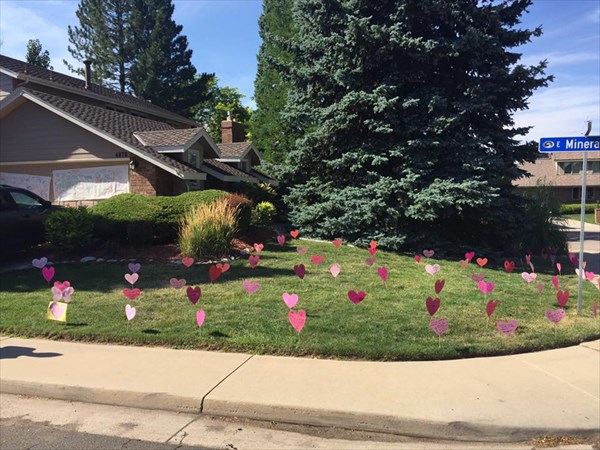 14067511_528062207390117_8893872810302240005_n_R