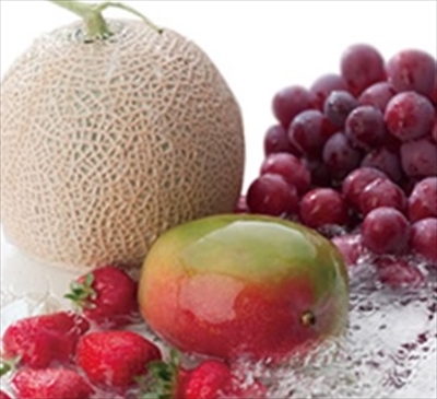 2016_reika_petit_zoai_R_R