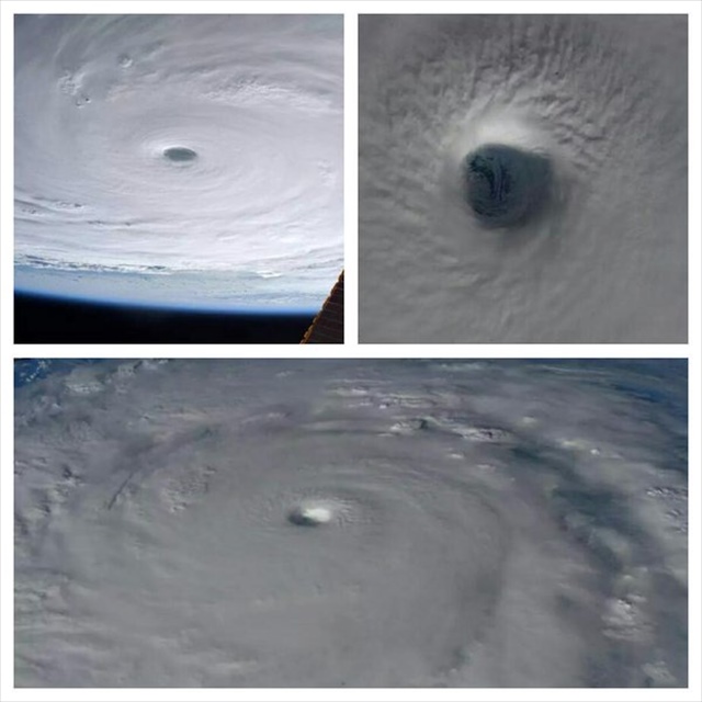 CVaQNePU4AAS7lHgser_R