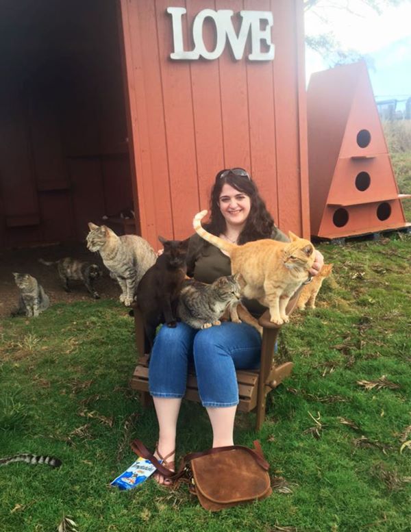 lanai-cat-sanctuary-hawaii-10r