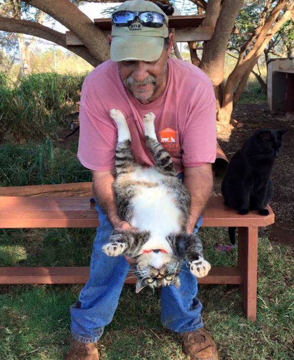 lanai-cat-sanctuary-hawaii-20r