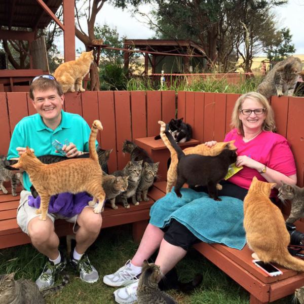 lanai-cat-sanctuary-hawaii-21r